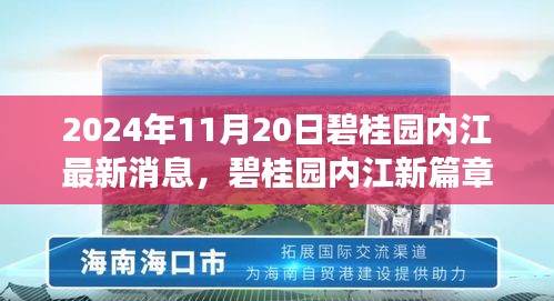 碧桂園內(nèi)江最新動態(tài)，美好時(shí)光溫馨傳遞，愛在朋友間的日常篇章（2024年11月20日）
