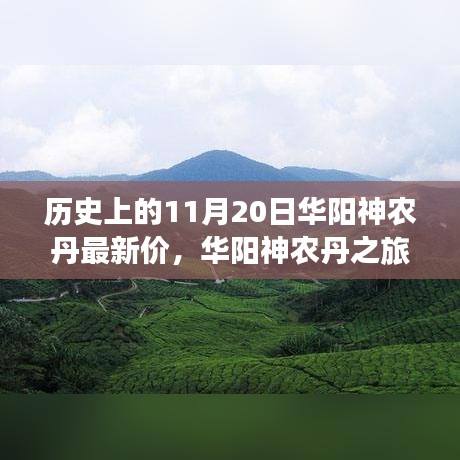 華陽(yáng)神農(nóng)丹之旅，探尋歷史價(jià)格與自然美景，尋找內(nèi)心的寧?kù)o與和諧