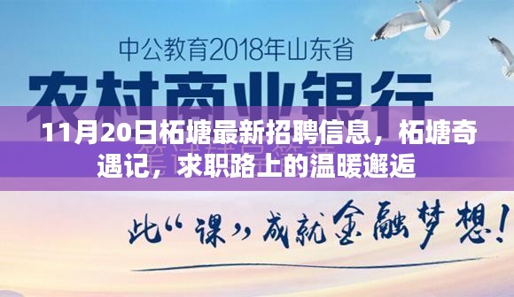 柘塘最新招聘信息揭秘，求職路上的溫暖邂逅之旅