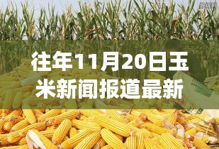 探秘巷弄深處的驚喜小店，往年玉米新聞回顧與隱藏式特色小店的玉米香之旅