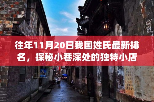 往年11月20日中國姓氏最新排名，小巷深處的獨特小店背后的故事探秘