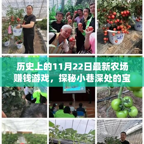歷史上的11月22日最新農(nóng)場賺錢游戲，探秘小巷深處的寶藏，歷史上的11月22日，全新農(nóng)場賺錢游戲起源地