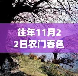 農(nóng)門春色，暖陽下的秋日趣事與深厚友情最新章節(jié)發(fā)布（XXXX年XX月XX日）
