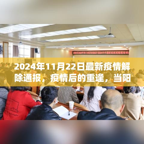 陽光照亮心靈，疫情解除通報與重逢的日子