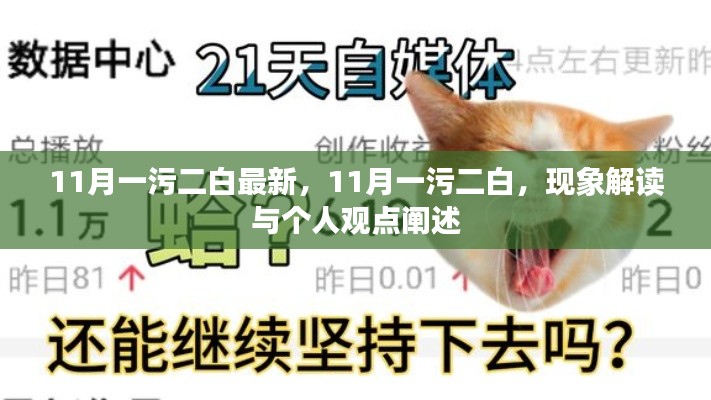 11月一污二白現(xiàn)象解讀與個(gè)人觀點(diǎn)闡述，最新觀察與闡述