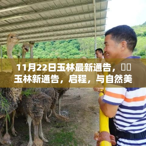 玉林新通告發(fā)布，啟程共舞自然美景，探尋內(nèi)心寧?kù)o之樂(lè)