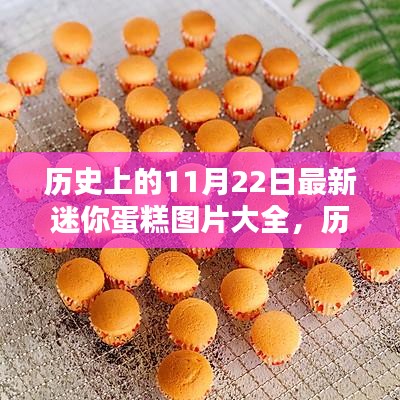 歷史上的11月22日迷你蛋糕圖片精選集，最新圖片大全展示