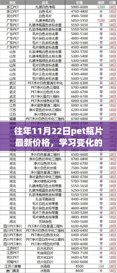 往年11月22日PET瓶片最新價(jià)格，探尋變化的力量，自信與成就的來(lái)源