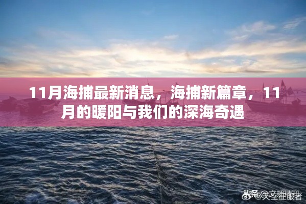 11月深海奇遇，海捕新篇章開啟，暖陽下的深海探索之旅