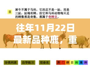展翅高飛 第6頁