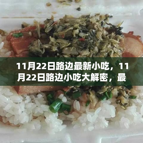 揭秘11月22日路邊最新小吃，深度評(píng)測(cè)與介紹