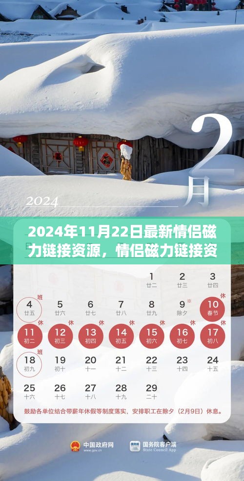 2024年情侶磁力鏈接資源新動(dòng)態(tài)，探索最新進(jìn)展與資源