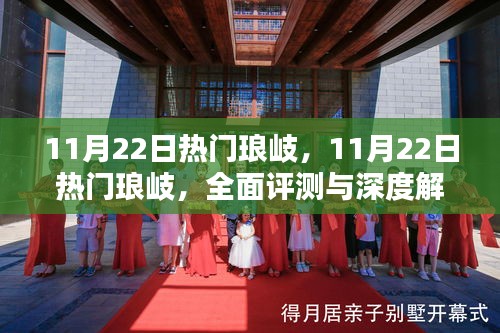 11月22日熱門瑯岐，全面評測與深度解析