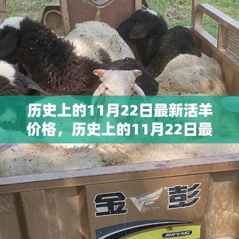 歷史上的11月22日活羊價格深度評測與介紹，最新價格及市場分析