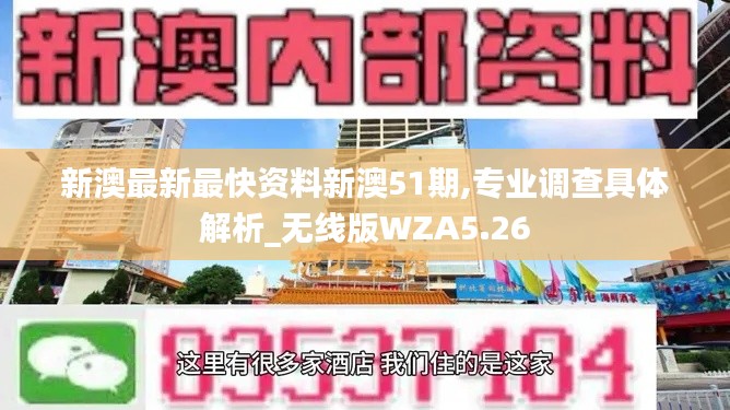新澳最新最快資料新澳51期,專業(yè)調查具體解析_無線版WZA5.26