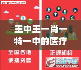 王中王一肖一特一中的醫(yī)療隊,精細(xì)化實施分析_創(chuàng)新版QDB5.49