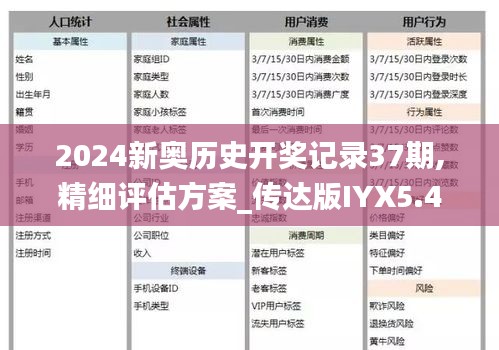 2024新奧歷史開(kāi)獎(jiǎng)記錄37期,精細(xì)評(píng)估方案_傳達(dá)版IYX5.41