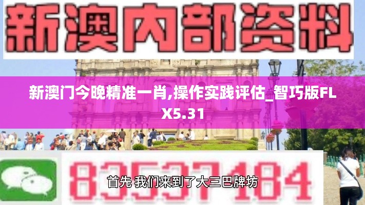 新澳門(mén)今晚精準(zhǔn)一肖,操作實(shí)踐評(píng)估_智巧版FLX5.31
