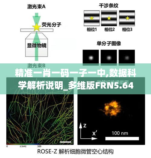 精準(zhǔn)一肖一碼一子一中,數(shù)據(jù)科學(xué)解析說明_多維版FRN5.64
