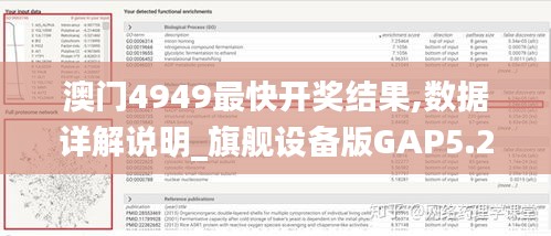 澳門4949最快開獎(jiǎng)結(jié)果,數(shù)據(jù)詳解說明_旗艦設(shè)備版GAP5.24
