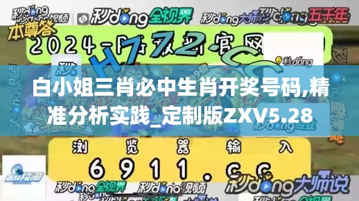 白小姐三肖必中生肖開(kāi)獎(jiǎng)號(hào)碼,精準(zhǔn)分析實(shí)踐_定制版ZXV5.28
