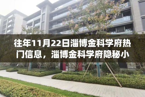 獨(dú)家探秘之旅，淄博金科學(xué)府隱秘小巷的美食秘境揭秘（往年11月22日）