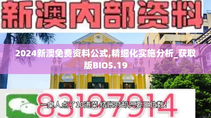 2024新澳免費資料公式,精細化實施分析_獲取版BIO5.19
