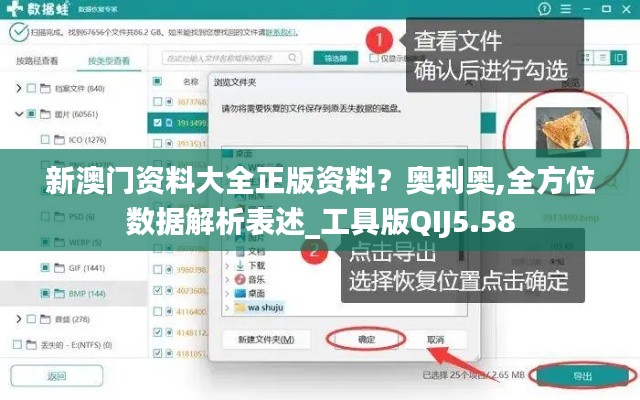 新澳門資料大全正版資料？奧利奧,全方位數(shù)據(jù)解析表述_工具版QIJ5.58