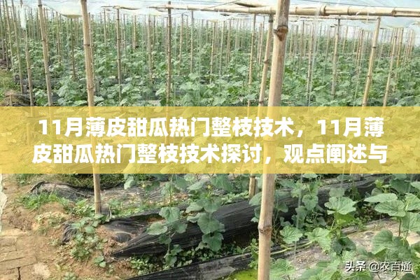 11月薄皮甜瓜整枝技術(shù)探討，觀點闡述與解析