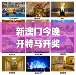 新澳門(mén)今晚開(kāi)特馬開(kāi)獎(jiǎng),高效性設(shè)計(jì)規(guī)劃_家居版DON5.14