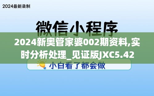 2024新奧管家婆002期資料,實時分析處理_見證版JXC5.42