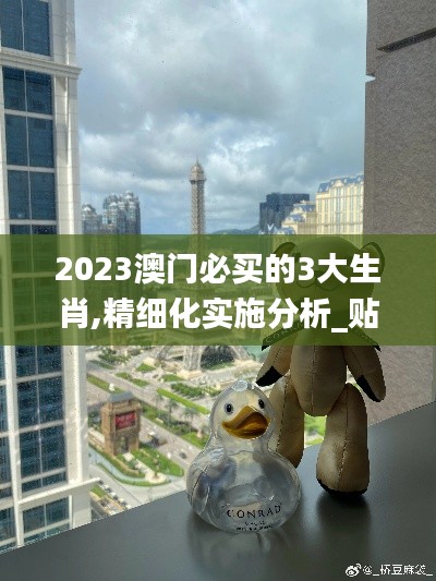 2023澳門必買的3大生肖,精細化實施分析_貼心版QBX5.70