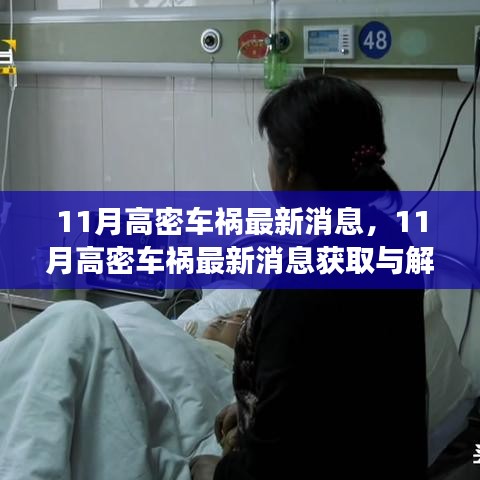 11月高密車禍最新消息解讀與獲取指南，適用于初學(xué)者與進(jìn)階用戶