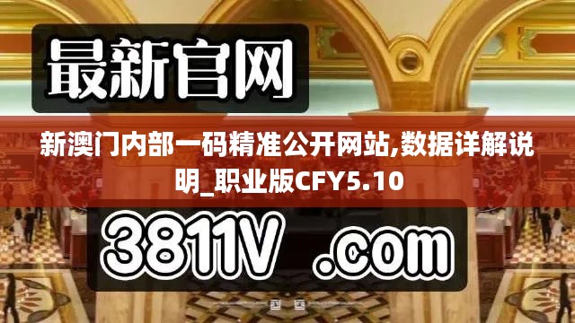 新澳門內部一碼精準公開網(wǎng)站,數(shù)據(jù)詳解說明_職業(yè)版CFY5.10