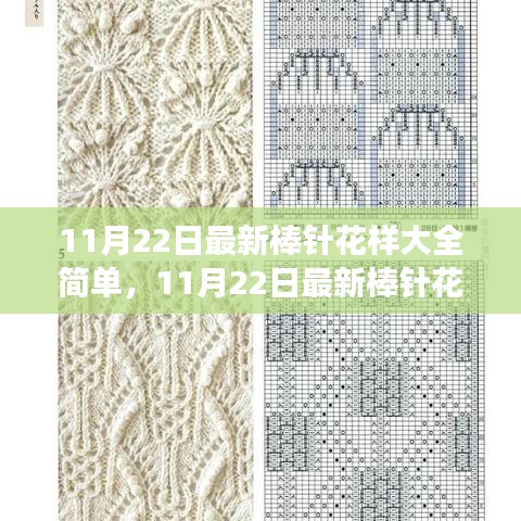 11月22日最新棒針花樣詳解，簡單編織藝術(shù)的全新魅力展現(xiàn)