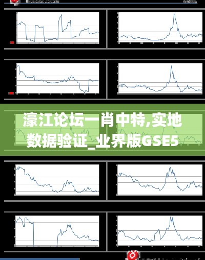 濠江論壇一肖中特,實(shí)地?cái)?shù)據(jù)驗(yàn)證_業(yè)界版GSE5.84