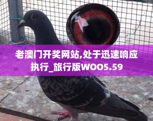 老澳門開獎網(wǎng)站,處于迅速響應(yīng)執(zhí)行_旅行版WOO5.59