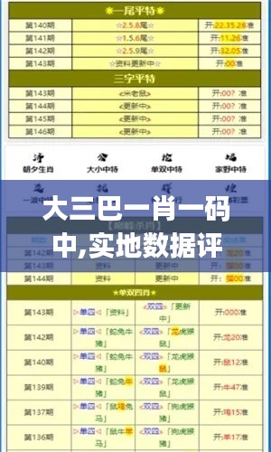大三巴一肖一碼中,實地數(shù)據(jù)評估分析_稀缺版YBN5.91