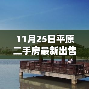 揭秘最新平原二手房市場，最新出售信息詳解（11月25日）