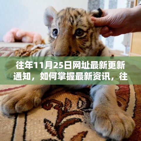 往年11月25日網(wǎng)址更新詳解，掌握最新資訊的方法與途徑解析