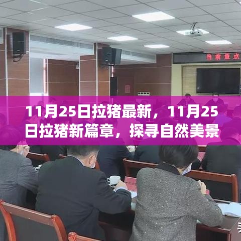 探尋自然美景之旅，11月25日拉豬新篇章，重拾內(nèi)心的寧靜與平和