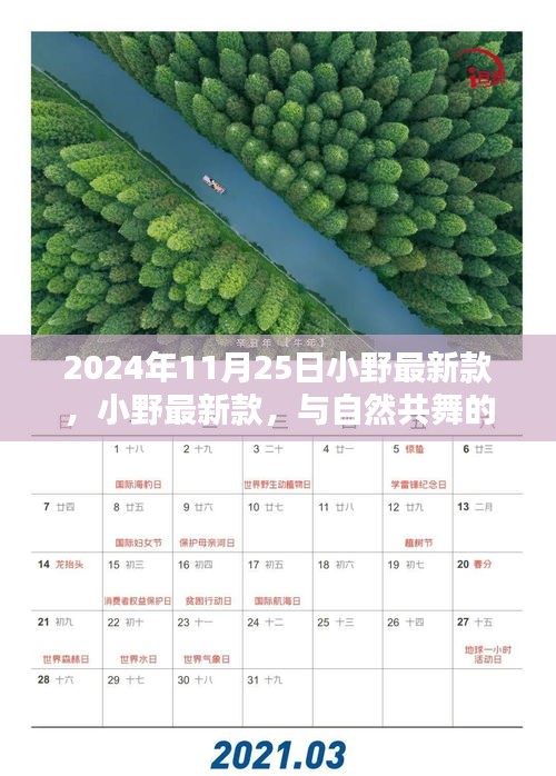 小野最新款，與自然共舞的日子啟程，尋找內(nèi)心的寧?kù)o與歡笑時(shí)光（2024年11月25日）