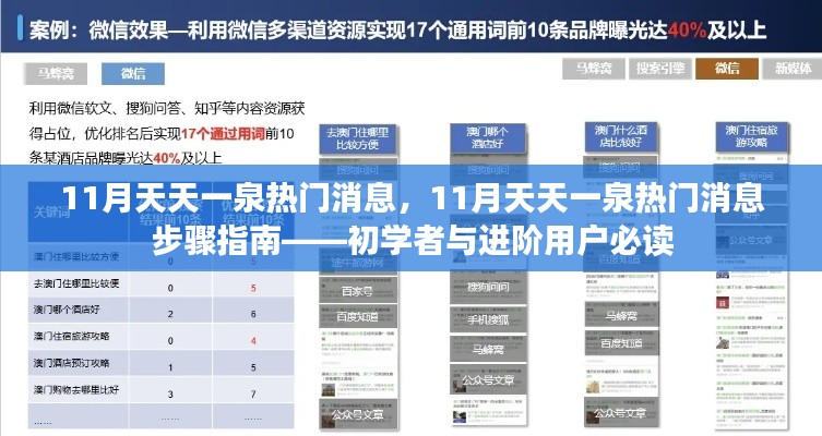 11月天天一泉熱門消息全解析，初學(xué)者與進階用戶步驟指南