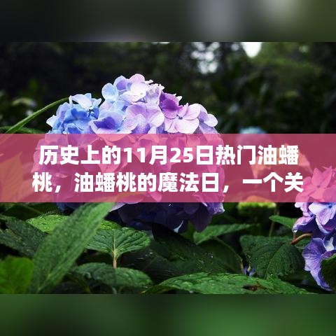 歷史上的油蟠桃魔法日，友情、愛與陪伴的溫馨故事