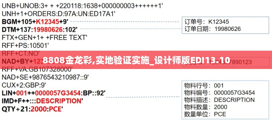 8808金龍彩,實地驗證實施_設計師版EDI13.10
