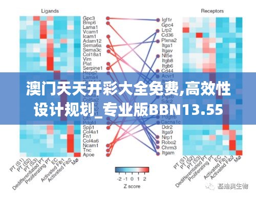 澳門天天開彩大全免費,高效性設(shè)計規(guī)劃_專業(yè)版BBN13.55