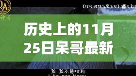 呆哥雙飛記，溫馨有趣的日常故事新篇章。