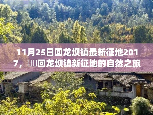 衣不兼采 第7頁(yè)