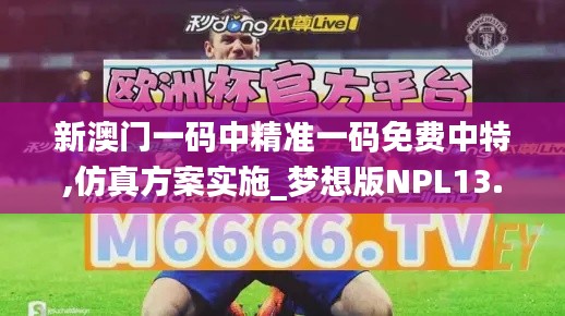 新澳門一碼中精準(zhǔn)一碼免費(fèi)中特,仿真方案實施_夢想版NPL13.58