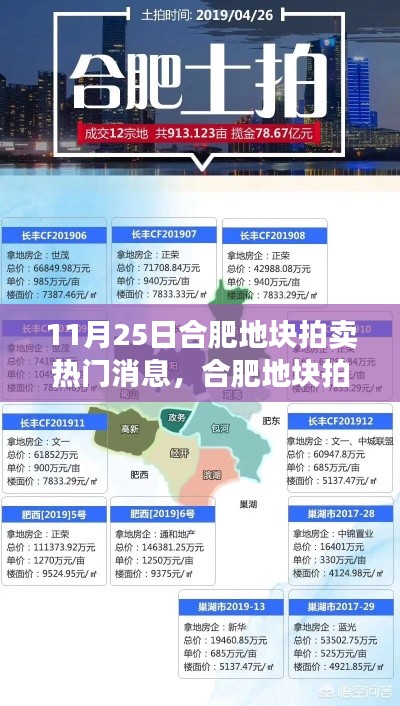 合肥地塊拍賣掀起熱潮，地產(chǎn)風云再掀波瀾